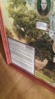 Генеалогическое агентство четыре колена